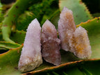 Natural Lilac Amethyst Spirit Crystals and Clusters x 20 From Boekenhouthoek, South Africa