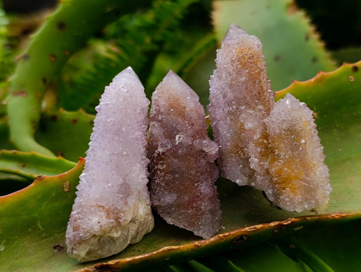Natural Lilac Amethyst Spirit Crystals and Clusters x 20 From Boekenhouthoek, South Africa