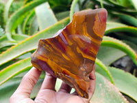 Polished On One Side Jupiter Jasper Slices x 3 From South Africa