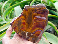 Polished On One Side Jupiter Jasper Slices x 3 From South Africa