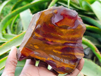 Polished On One Side Jupiter Jasper Slices x 3 From South Africa