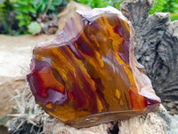 Polished On One Side Jupiter Jasper Slices x 3 From South Africa