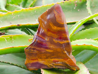 Polished On One Side Jupiter Jasper Slices x 3 From South Africa