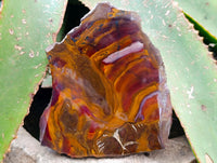 Polished On One Side Jupiter Jasper Slices x 3 From South Africa