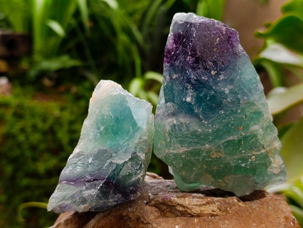Natural Watermelon Fluorite Cobbed Specimens x 10 From Uis, Namibia