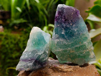 Natural Watermelon Fluorite Cobbed Specimens x 10 From Uis, Namibia