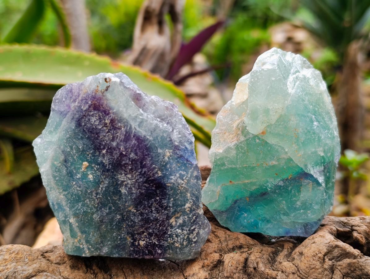 Natural Watermelon Fluorite Cobbed Specimens x 10 From Uis, Namibia