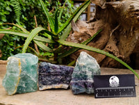 Natural Watermelon Fluorite Cobbed Specimens x 10 From Uis, Namibia