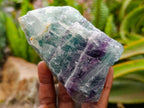 Natural Watermelon Fluorite Cobbed Specimens x 10 From Uis, Namibia