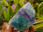 Natural Watermelon Fluorite Cobbed Specimens x 10 From Uis, Namibia