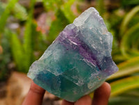 Natural Watermelon Fluorite Cobbed Specimens x 10 From Uis, Namibia