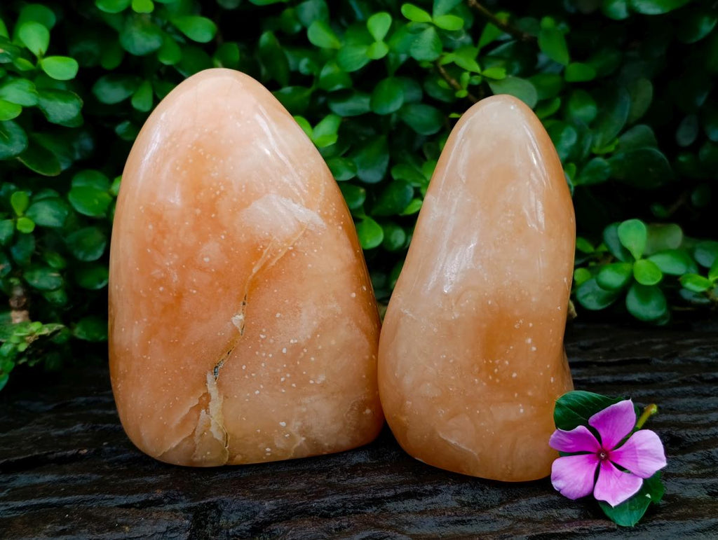 Polished Orange Twist Calcite Standing Free Forms x 2 From Maevantanana, Madagascar