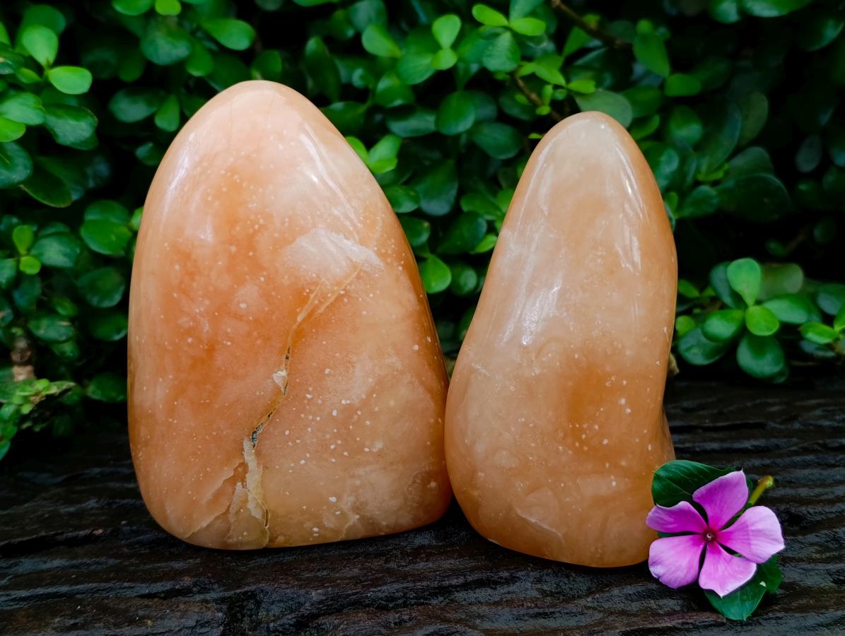 Polished Orange Twist Calcite Standing Free Forms x 2 From Maevantanana, Madagascar