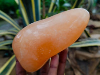 Polished Orange Twist Calcite Standing Free Forms x 2 From Maevantanana, Madagascar
