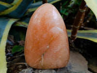 Polished Orange Twist Calcite Standing Free Forms x 2 From Maevantanana, Madagascar
