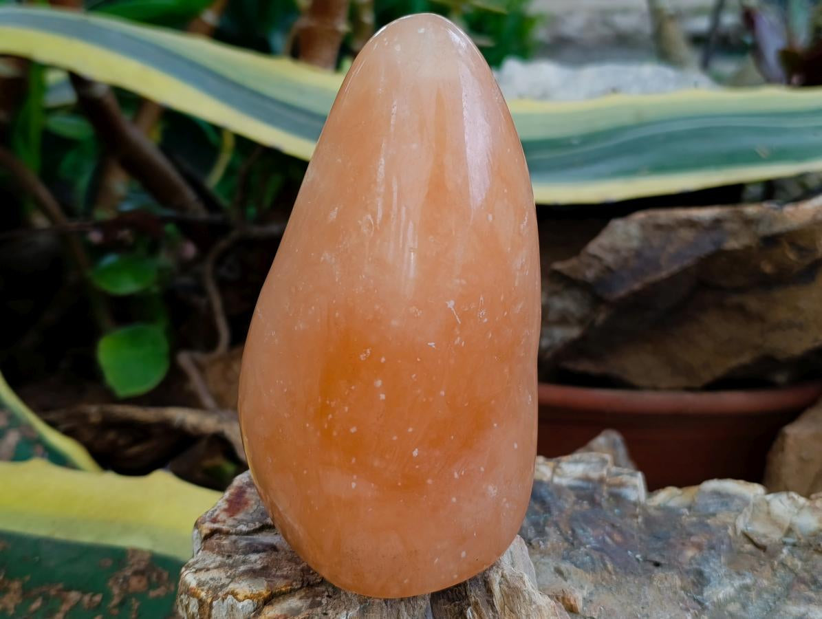 Polished Orange Twist Calcite Standing Free Forms x 2 From Maevantanana, Madagascar