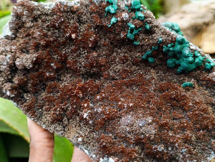 Natural Crystalline Ball Malachite and Quartz on Dolomite Specimens x 2 From Mindingi Mine, Kambove, Congo
