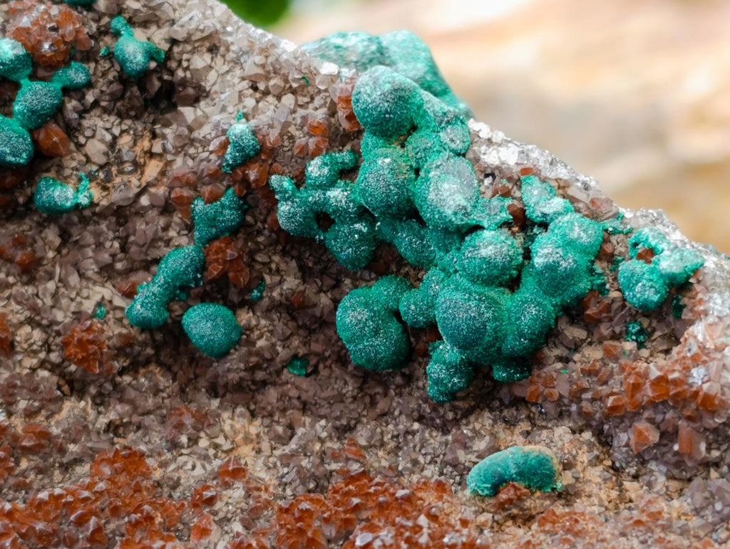Natural Crystalline Ball Malachite and Quartz on Dolomite Specimens x 2 From Mindingi Mine, Kambove, Congo