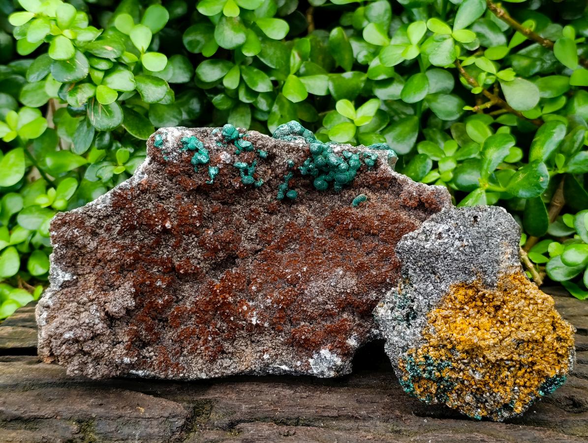 Natural Crystalline Ball Malachite and Quartz on Dolomite Specimens x 2 From Mindingi Mine, Kambove, Congo