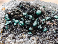 Natural Crystalline Ball Malachite and Quartz on Dolomite Specimens x 2 From Mindingi Mine, Kambove, Congo