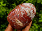 Polished Red Flame And Red Jasper Standing Free Forms x 3 From Madagascar
