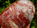 Polished Red Flame And Red Jasper Standing Free Forms x 3 From Madagascar