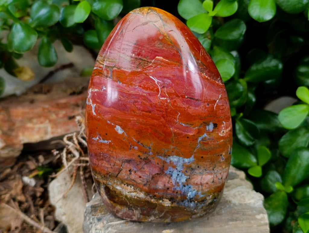 Polished Red Flame And Red Jasper Standing Free Forms x 3 From Madagascar