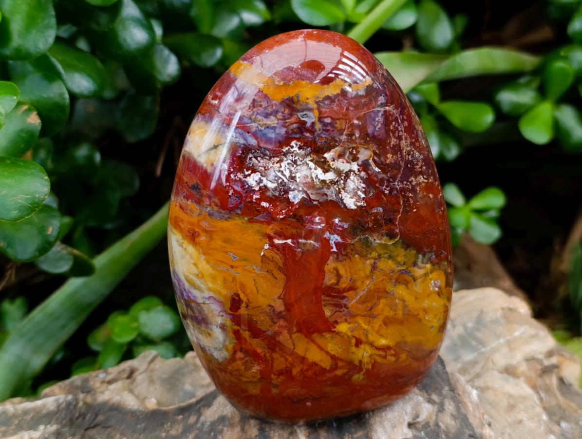 Polished Red Flame And Red Jasper Standing Free Forms x 3 From Madagascar
