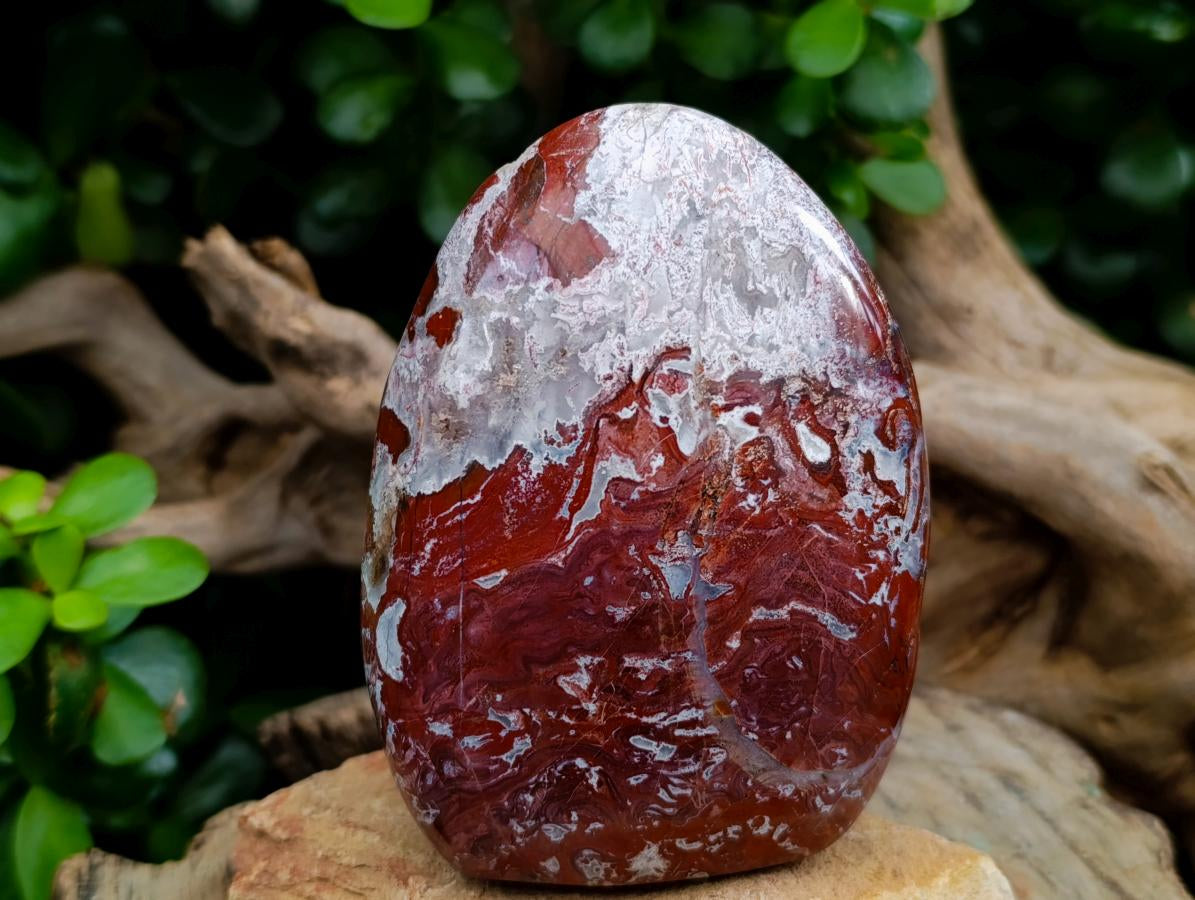 Polished Red Flame And Red Jasper Standing Free Forms x 3 From Madagascar