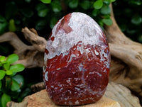 Polished Red Flame And Red Jasper Standing Free Forms x 3 From Madagascar