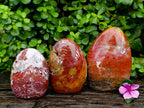 Polished Red Flame And Red Jasper Standing Free Forms x 3 From Madagascar