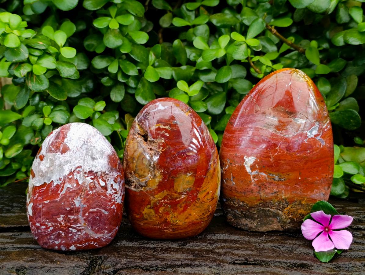 Polished Red Flame And Red Jasper Standing Free Forms x 3 From Madagascar