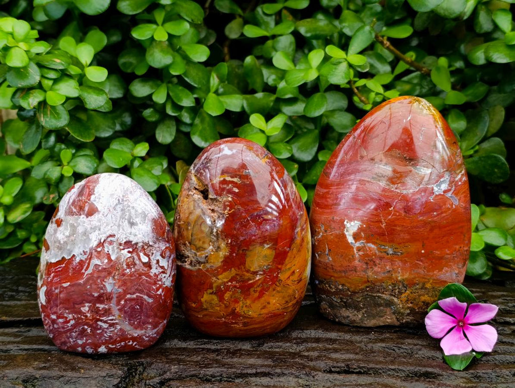 Polished Red Flame And Red Jasper Standing Free Forms x 3 From Madagascar