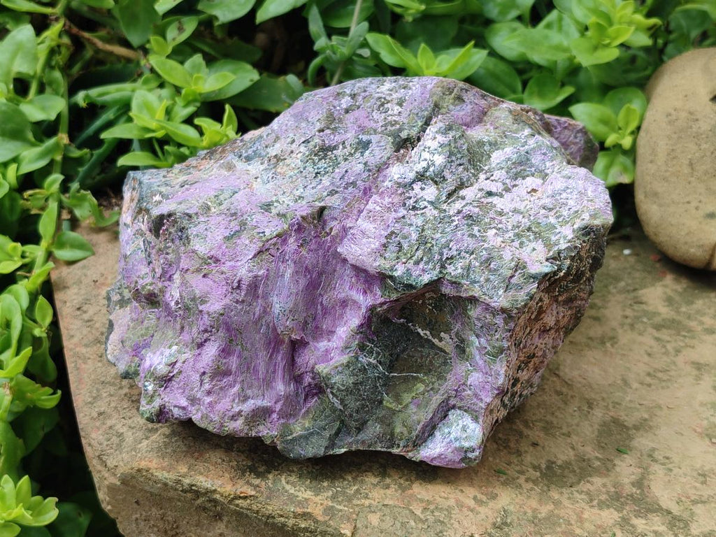 Natural XL Stichtite Cobbed Specimen x 1 From Barberton, South Africa