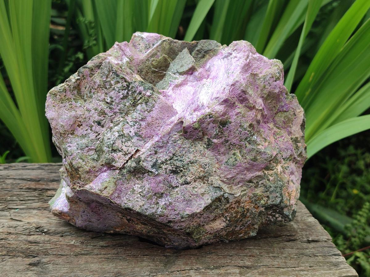 Natural XL Stichtite Cobbed Specimen x 1 From Barberton, South Africa