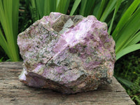 Natural XL Stichtite Cobbed Specimen x 1 From Barberton, South Africa