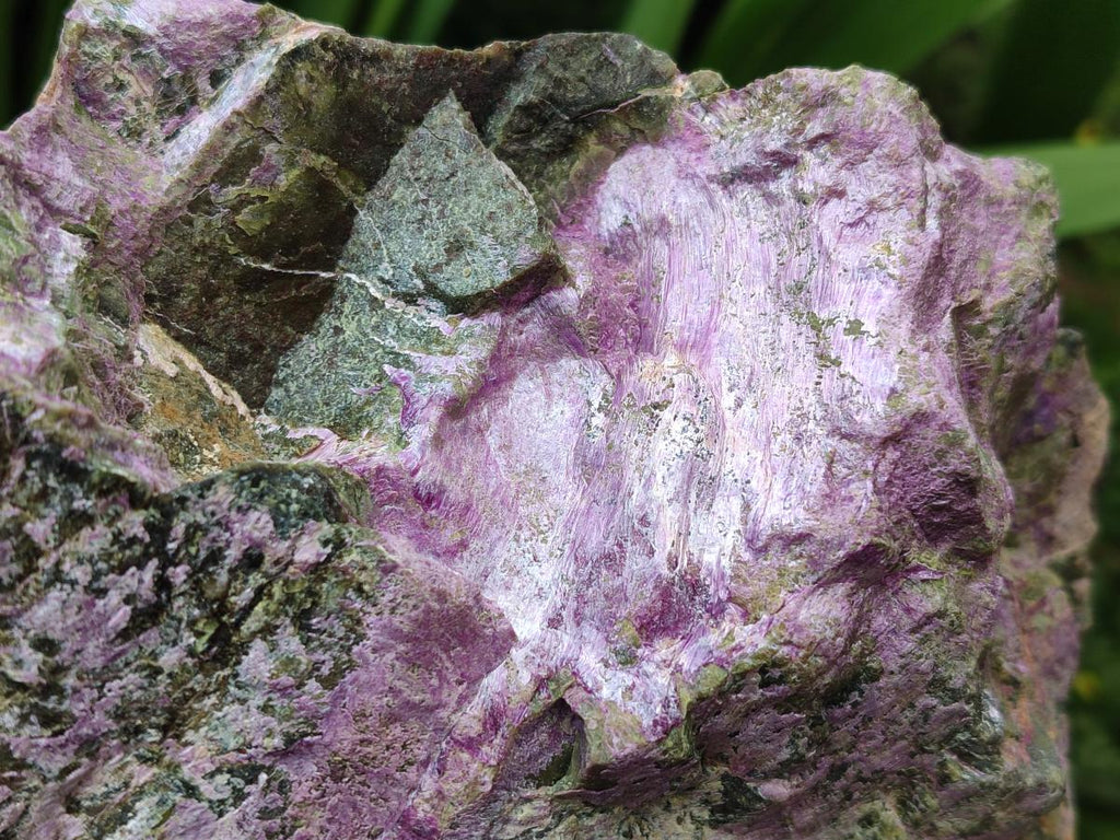 Natural XL Stichtite Cobbed Specimen x 1 From Barberton, South Africa