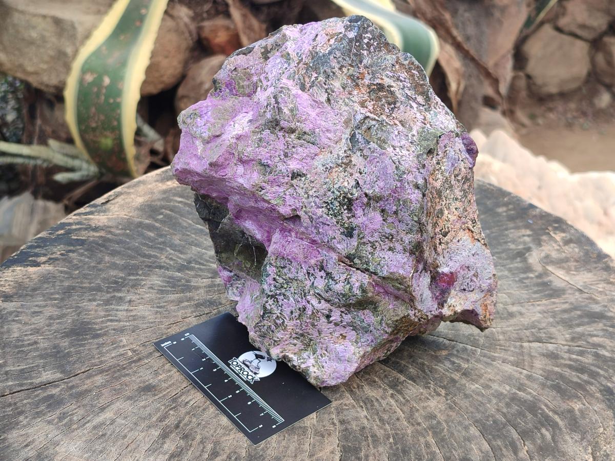 Natural XL Stichtite Cobbed Specimen x 1 From Barberton, South Africa