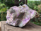 Natural XL Stichtite Cobbed Specimen x 1 From Barberton, South Africa