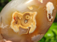 Polished Flower Agate Free Forms x 3 From Antsahalova, Madagascar