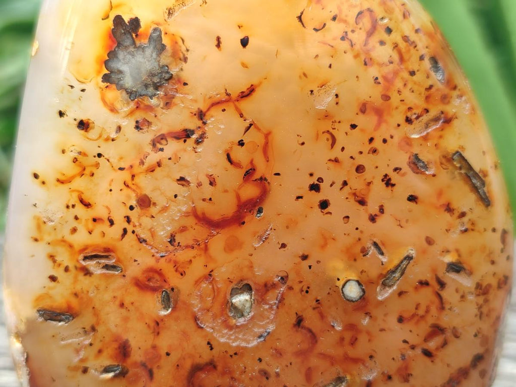 Polished Flower Agate Free Forms x 3 From Antsahalova, Madagascar