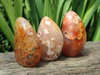 Polished Flower Agate Free Forms x 3 From Antsahalova, Madagascar