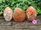 Polished Flower Agate Free Forms x 3 From Antsahalova, Madagascar
