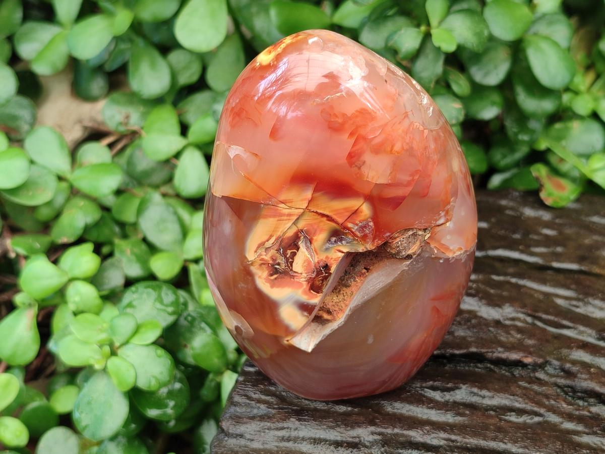 Polished Flower Agate Free Forms x 3 From Antsahalova, Madagascar