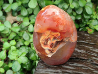 Polished Flower Agate Free Forms x 3 From Antsahalova, Madagascar