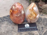 Polished Flower Agate Free Forms x 3 From Antsahalova, Madagascar