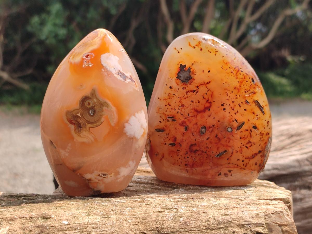 Polished Flower Agate Free Forms x 3 From Antsahalova, Madagascar