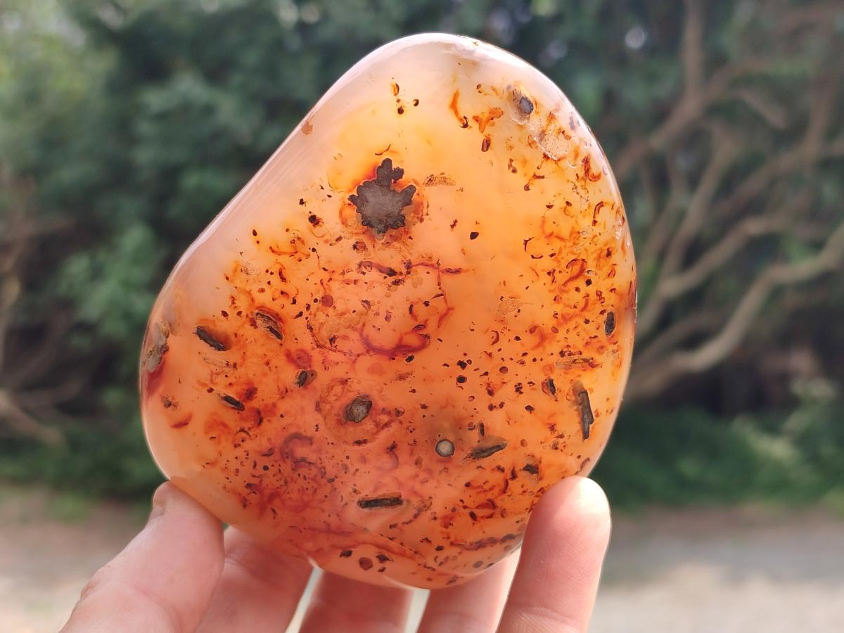 Polished Flower Agate Free Forms x 3 From Antsahalova, Madagascar
