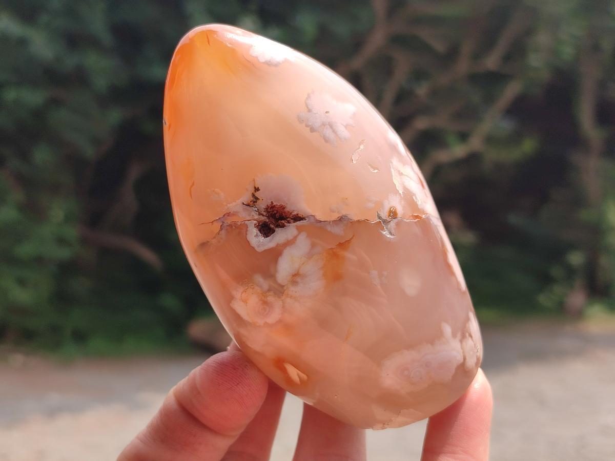 Polished Flower Agate Free Forms x 3 From Antsahalova, Madagascar