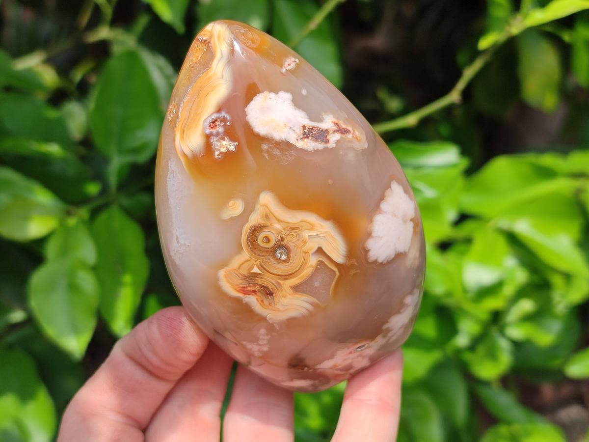 Polished Flower Agate Free Forms x 3 From Antsahalova, Madagascar